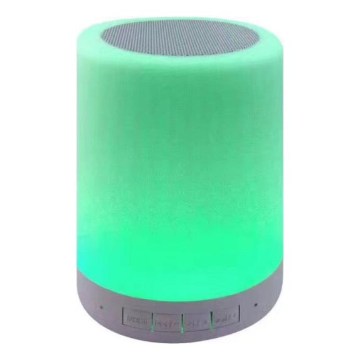 RGB LED table lamp with speaker LED/5V