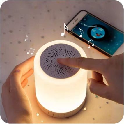 RGB LED table lamp with speaker LED/5V