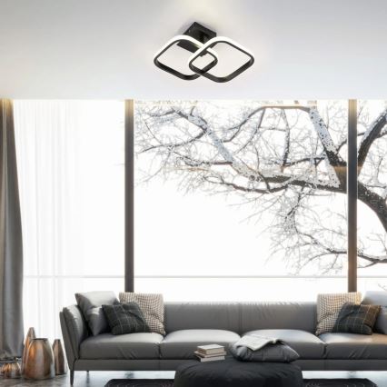 ROBERT LED Ceiling Light, 25 W / 230 V, 25 x 38 cm, Black