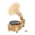 RoboTime - 3D wooden mechanical puzzle Gramophone (electric drive)
