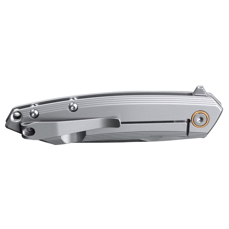 Ruike RUP831SSA - Folding compact knife 19,5 cm silver