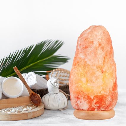 Salt lamp SALLY 1xE14/25W/230V alder 8,5 kg