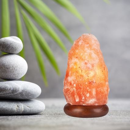 Salt lamp SALLY 1xE14/25W/230V alder 2,7 kg