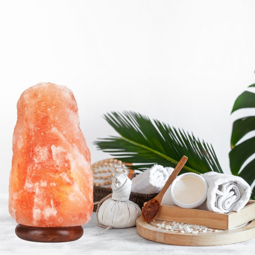 Salt lamp SALLY 1xE14/25W/230V alder 6,7 kg