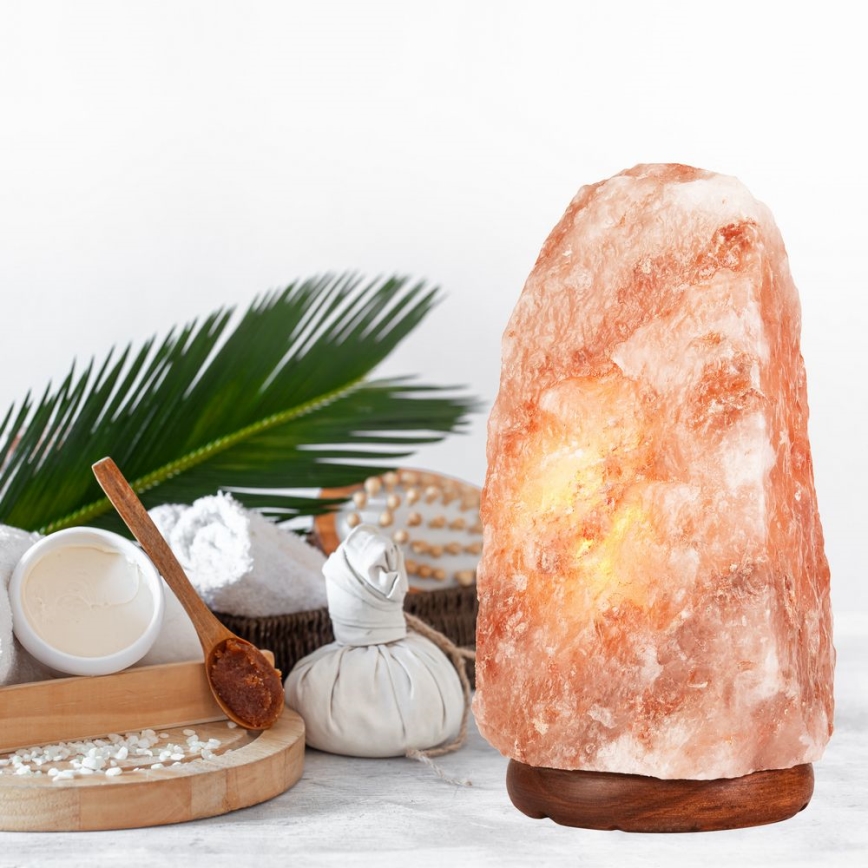 Salt lamp SALLY 1xE14/25W/230V alder 7,16 kg