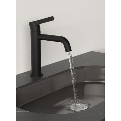Sapho - Basin tap ICONIC 18,7 cm matte black