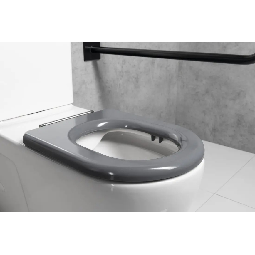 Sapho - SoftClose Toilet Seat, Grey