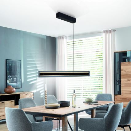 Schöner Wohnen 11316-18 - LENA LED Dimmable Cable-Suspended Pendant, LED/32W/230V, 105 cm, Black