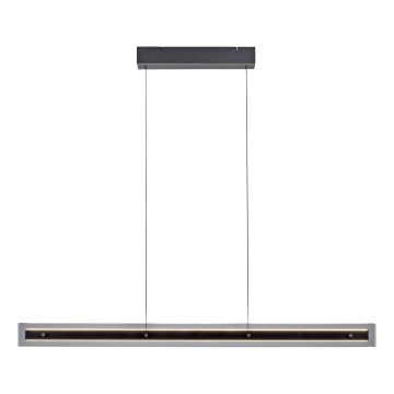 Schöner Wohnen 11316-18 - LENA LED dimmable cable pendant light LED/32W/230V, black