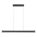 Schöner Wohnen 11316-18 - LENA LED Dimmable Cable-Suspended Pendant, LED/32W/230V, 105 cm, Black