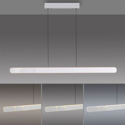 Schöner Wohnen 12577-16 - ADRIANA ROUND LED dimmable cable pendant 2xLED/24W/230V 2700/3000/3500/4000/5000K white