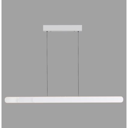 Schöner Wohnen 12577-16 - LED dimmable cable pendant ADRIANA ROUND 2xLED/24W/230V 2700/3000/3500/4000/5000K 160 cm white