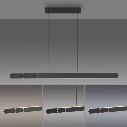 Schöner Wohnen 12577-18 - ADRIANA ROUND LED dimmable pendant light on cable 2xLED/24W/230V 2700/3000/3500/4000/5000K 160 cm black