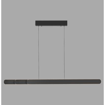 Schöner Wohnen 12577-18 - ADRIANA ROUND LED dimmable pendant light on cable 2xLED/24W/230V 2700/3000/3500/4000/5000K 160 cm black