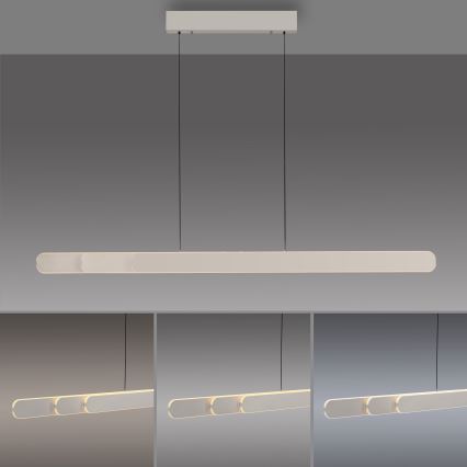 Schöner Wohnen 12577-39 - ADRIANA ROUND Dimmable LED pendant on cable, 2xLED/24W/230V, selectable 2700/3000/3500/4000/5000K, grey