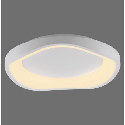 Schöner Wohnen 14233-16 - MONTA LED Dimmable Ceiling Light, 21W/230V, Ø 40 cm, White