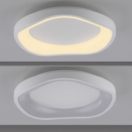 Schöner Wohnen 14233-16 - MONTA LED Dimmable Ceiling Light, 21W/230V, Ø 40 cm, White