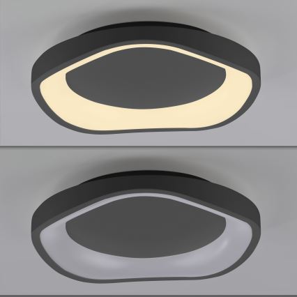 Schöner Wohnen 14233-18 - MONTA LED dimmable ceiling light, 21W/230V, Ø 40 cm, black