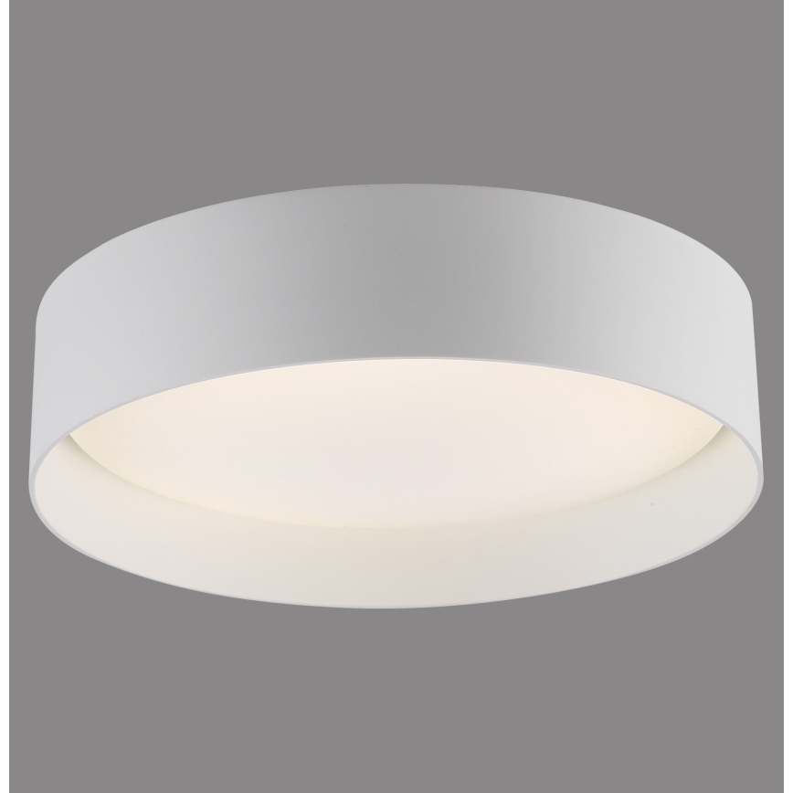 Schöner Wohnen 14593-16 - LED dimmable ceiling light TAVOLI LED/10W/230V 2700-6500K Ø 28.5 cm white + remote control