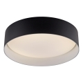 Schöner Wohnen 14593-18 - TAVOLI LED Dimmable Ceiling Light LED/10W/230V 2700–6500 K Ø 28.5 cm Black + Remote Control