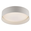Schöner Wohnen 14593-39 - TAVOLI Dimmable LED Ceiling Light LED/10W/230V 2700–6500K Ø 28.5 cm gray + remote control