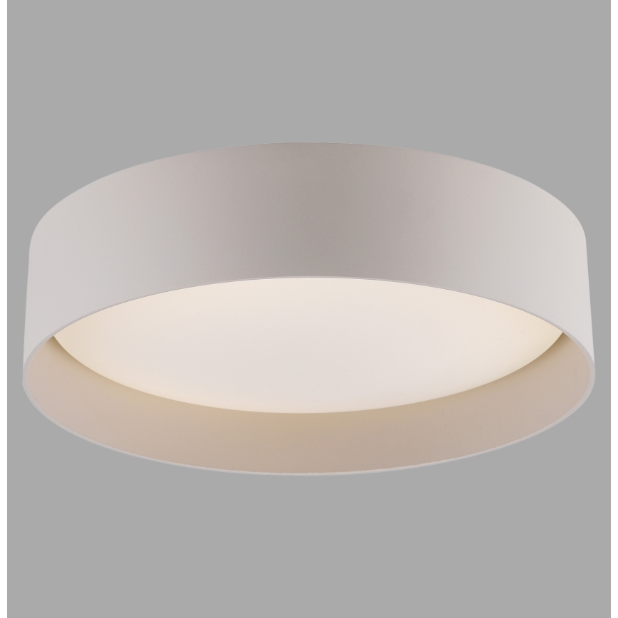 Schöner Wohnen 14593-39 - TAVOLI Dimmable LED Ceiling Light LED/10W/230V 2700–6500K Ø 28.5 cm gray + remote control