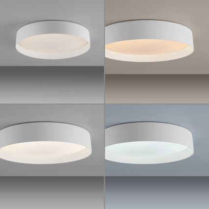 Schöner Wohnen 14594-16 - TAVOLI LED Dimmable Ceiling Light LED/20W/230V 2700–6500K Ø 39 cm White + Remote Control