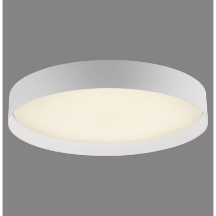 Schöner Wohnen 14595-16 - TAVOLI LED dimmable ceiling light, 34 W, 230 V, 2700–6500 K, Ø 49 cm, white + remote control