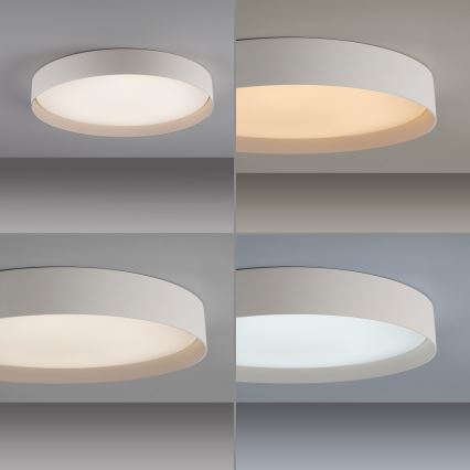 Schöner Wohnen 14595-39 - Dimmable LED ceiling light TAVOLI LED/34W/230V 2700-6500K Ø 49 cm grey + remote control