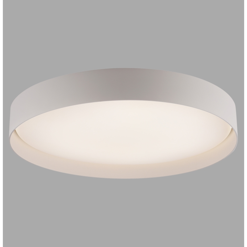 Schöner Wohnen 14595-39 - Dimmable LED ceiling light TAVOLI LED/34W/230V 2700-6500K Ø 49 cm grey + remote control