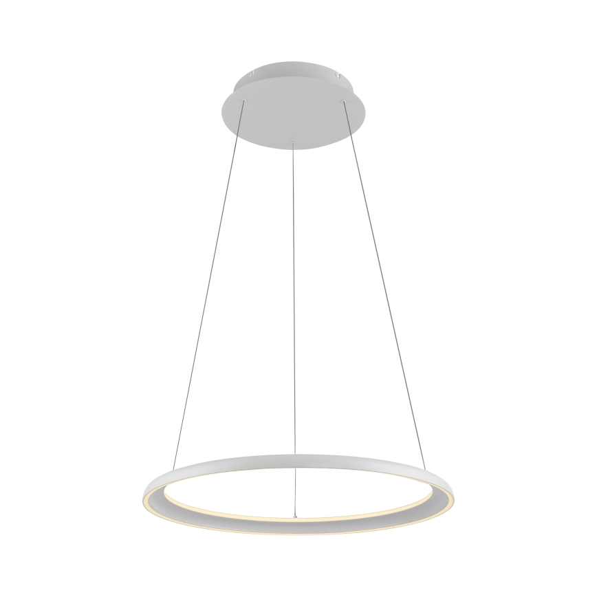 Schöner Wohnen 15570-16 - QUILLO LED Dimmable Cable Pendant, LED/36W/230V, Ø 60 cm, White