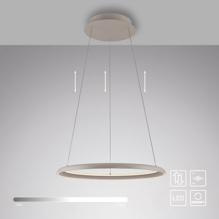 Schöner Wohnen 15570-39 - LED dimmable pendant light on cable QUILLO LED/36W/230V Ø 60 cm grey