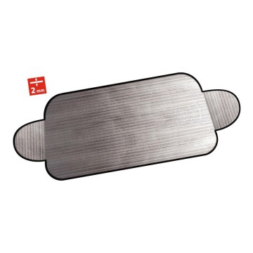 Screen for the car windshield 180x85 cm