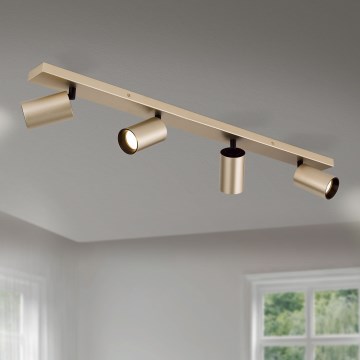 SEAN 4xGU10/13W/230V Gold Spotlight