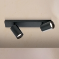 SEAN Spotlight 2xGU10/13W/230V, Black