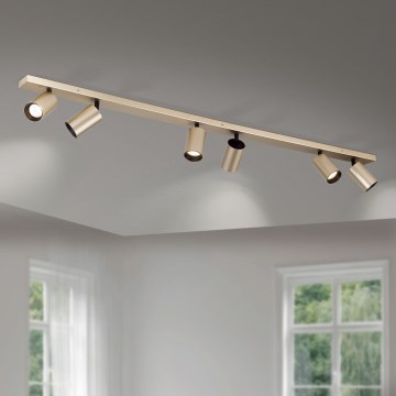 SEAN Spotlight 6xGU10/13W/230V Gold