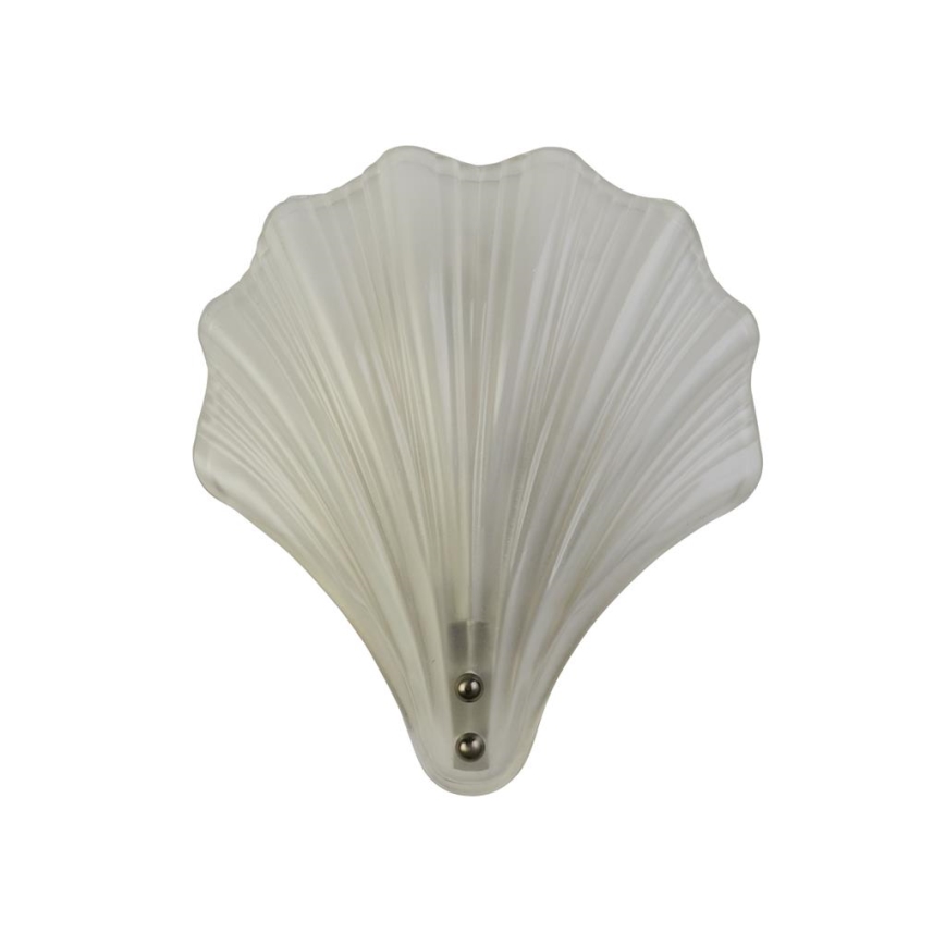 Searchlight - SHELL Wall Light 1xG9/7W/230V White