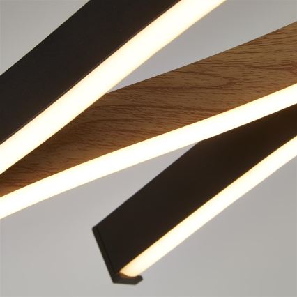 Searchlight - LED pendant on cable BLOOM LED/38W/230V 2300/3000/4000K