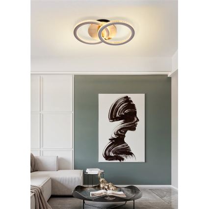 Searchlight - LED Dimmable Ceiling Light SPECS LED/24W/230V 3000K 25x42,5 cm