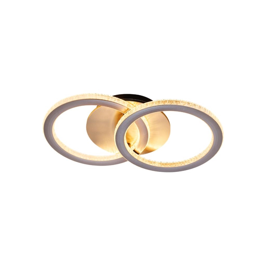 Searchlight - LED Dimmable Ceiling Light SPECS LED/24W/230V 3000K 25x42,5 cm