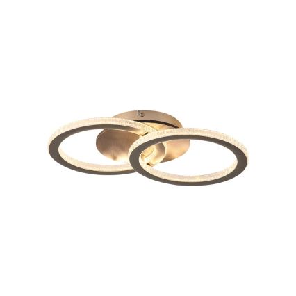 Searchlight - LED Dimmable Ceiling Light SPECS LED/24W/230V 3000K 25x42,5 cm