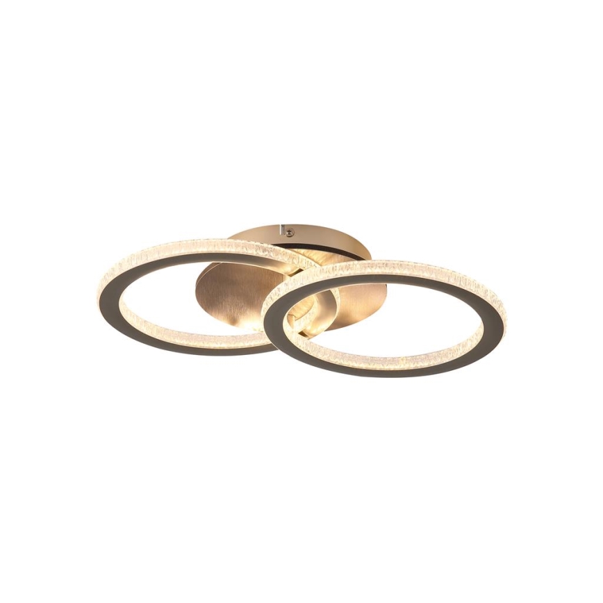 Searchlight - LED Dimmable Ceiling Light SPECS LED/24W/230V 3000K 25x42,5 cm