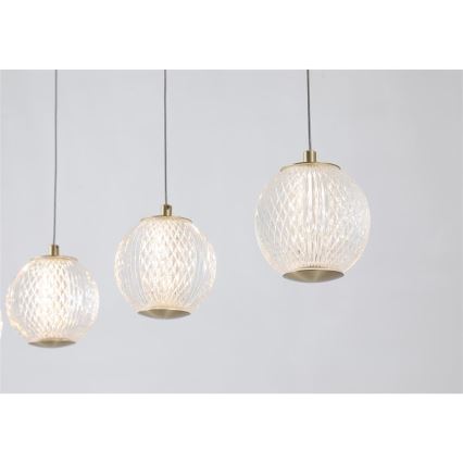 Searchlight - ALLURE LED Cable Pendant 5xLED/4.2W/230V