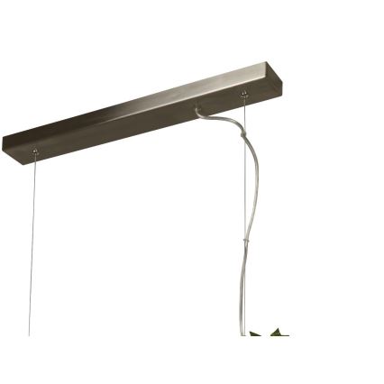 Searchlight - LED Chandelier on a string ASH LED/20W/230V ash
