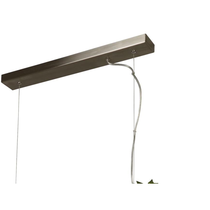 Searchlight - LED Chandelier on a string ASH LED/20W/230V ash