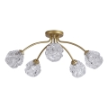 Searchlight - ASTRAL Surface-Mounted Chandelier 5xG9/33W/230V, Gold