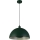 Searchlight - Cable-suspended pendant MARS 1xE27/60W/230V dia. 25 cm green