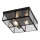 Searchlight - Ceiling light FLUSH 2xE14/40W/230V black