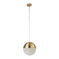 Searchlight - Chandelier on a string ENDOR 1xE27/40W/230V brass