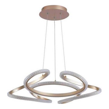 Searchlight - Dimmable LED cable-hung pendant DOODLE LED/40W/230V brass